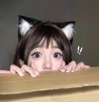 P244